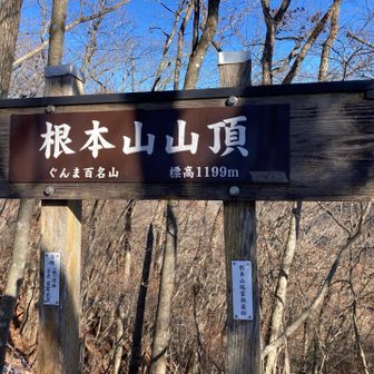 山頂直下がやや傾斜のキツいところがありましたが、ゆっくり歩いて登頂。根本山。ぐんま百名山であり、栃木百名山でもある。