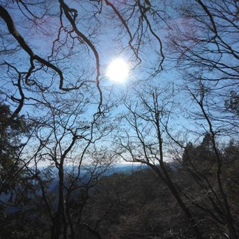 変わらず太陽、歩きに活力与えてくれる