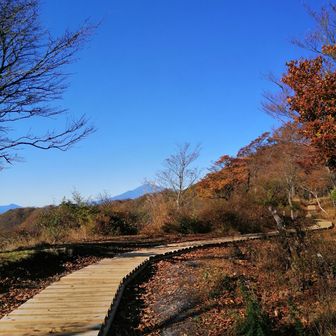 丹沢のオジサン