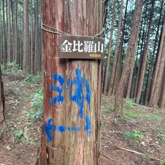 山頂に着きました
とても地味