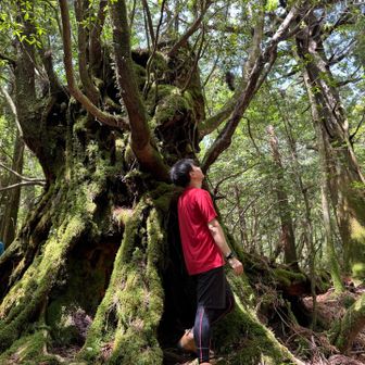 タナーポッター