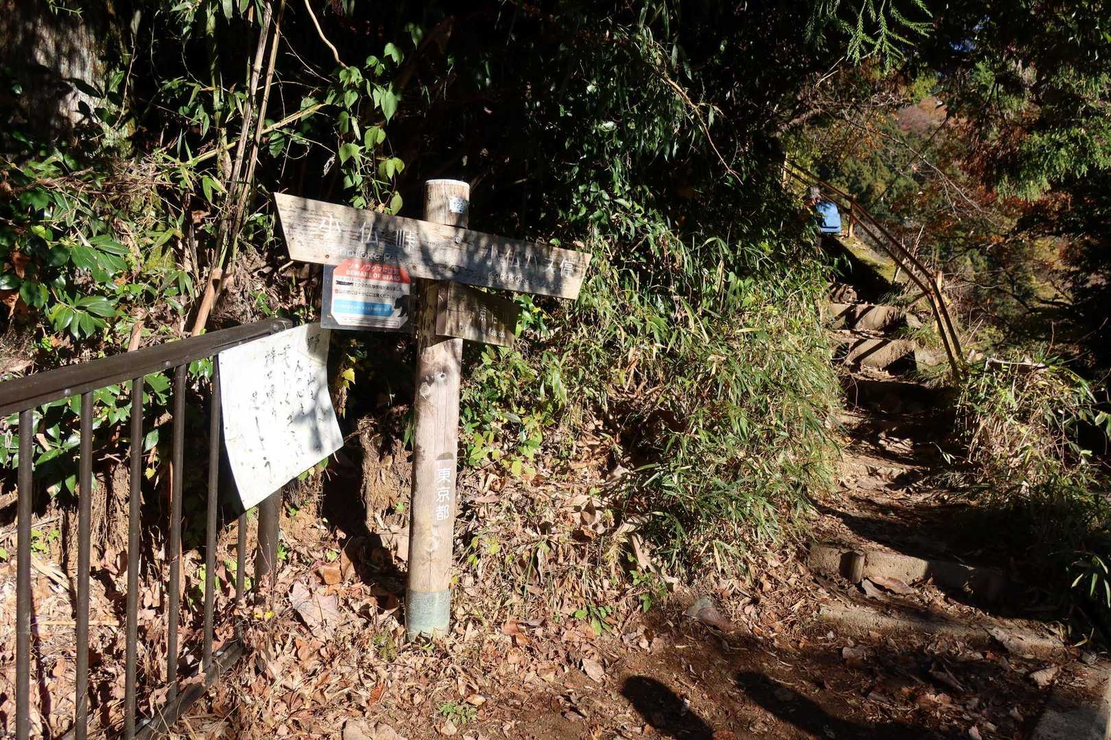 登山口。
ここから少しだけ急登でした。