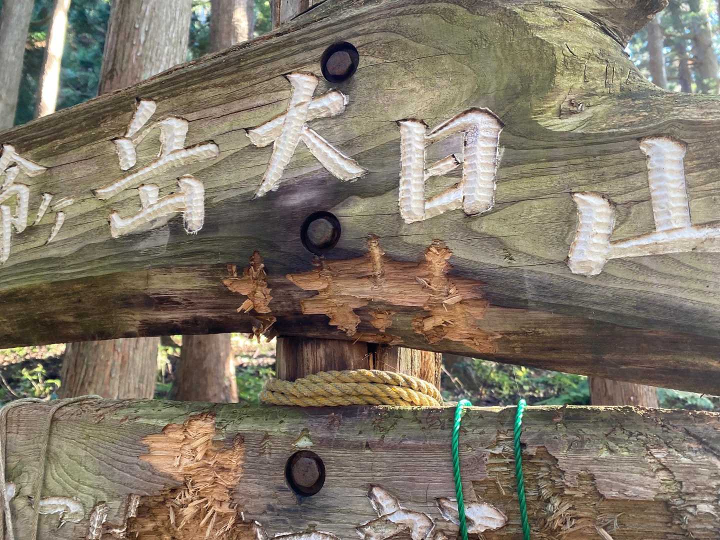 なかなかの爪やな