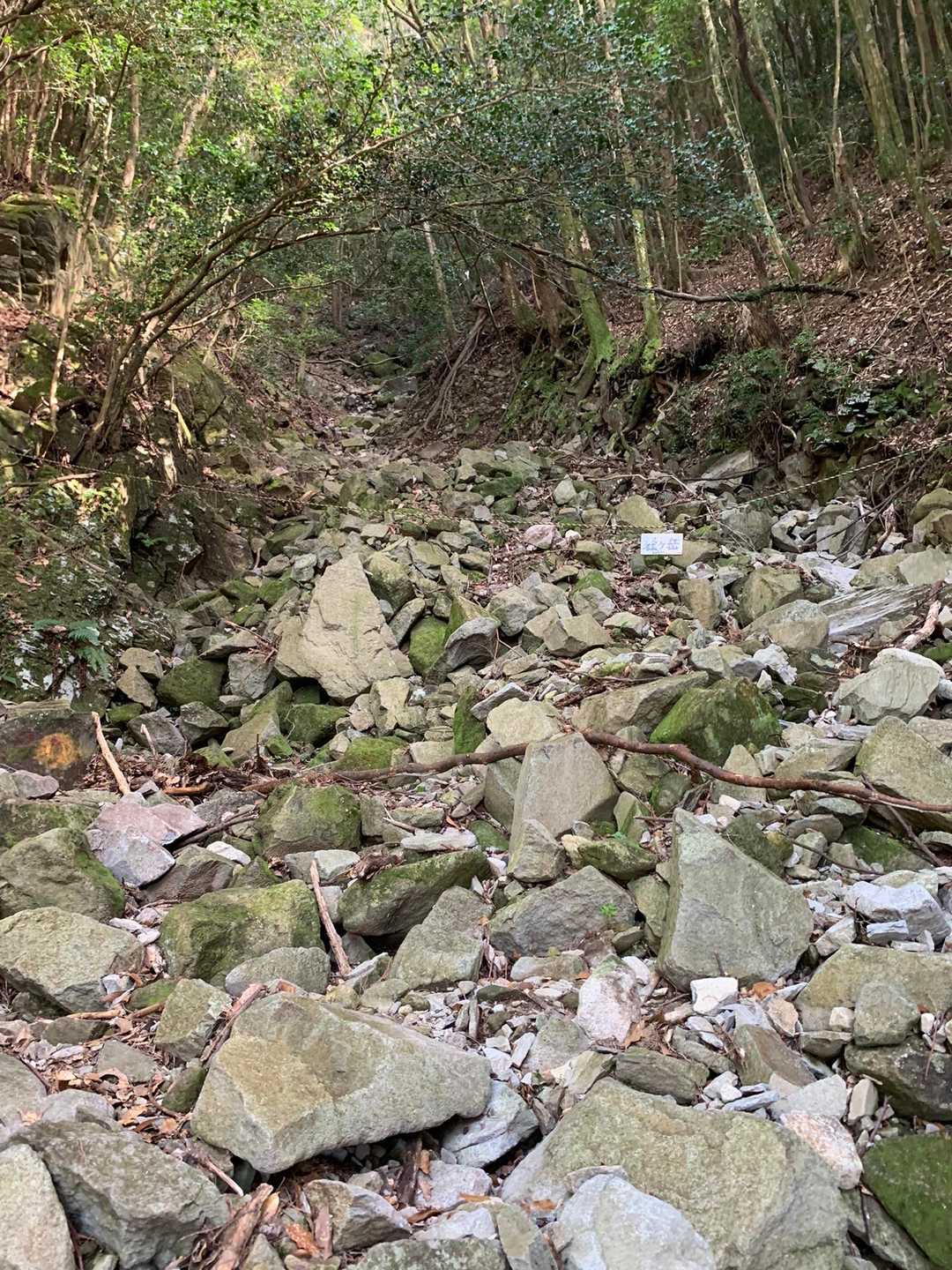 ガラ場を登ります。