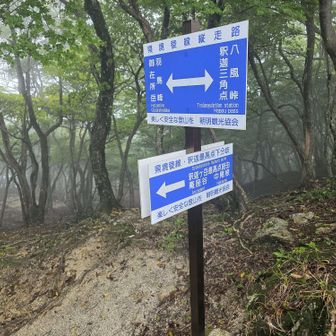 さあ縦走しましょう