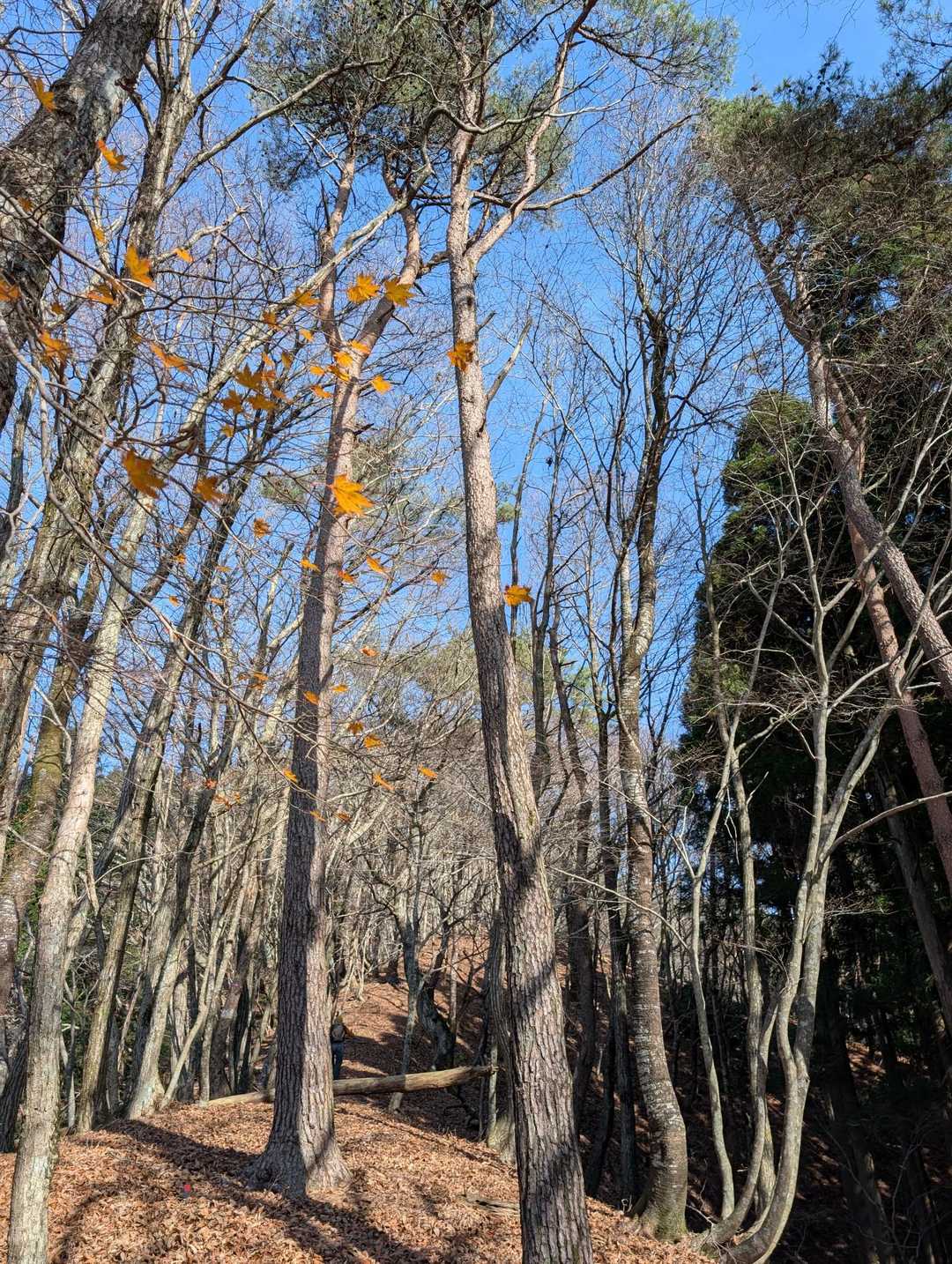 飽きない景色…こう言う所好きです🎶