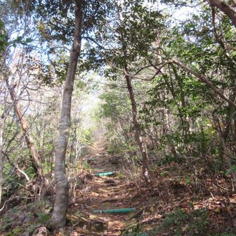 程よく整備されて、