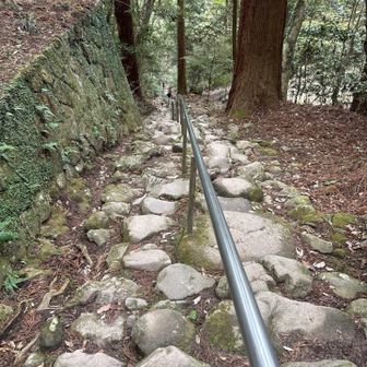 やっぱりこの石段はいい感じ。