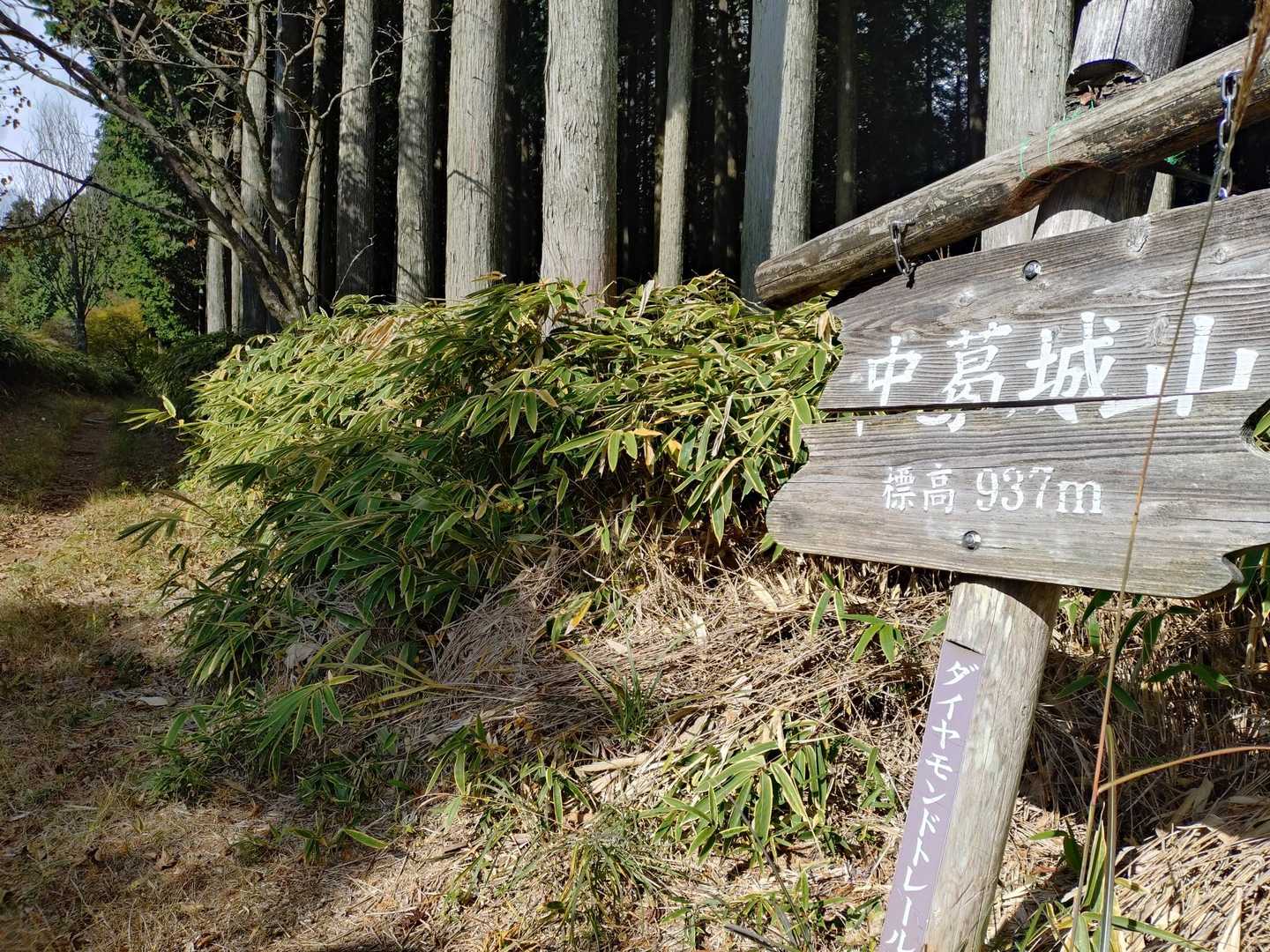 中葛城山に　着きました　
後は  大丈夫楽々？
と  言って皆に 頑張って貰いました