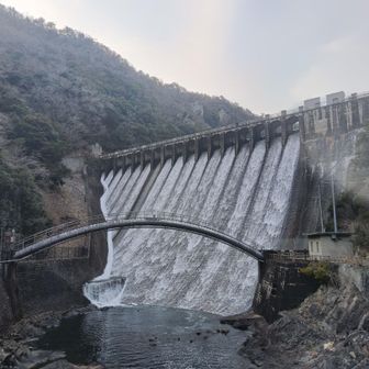 千苅ダム　水量多いね
