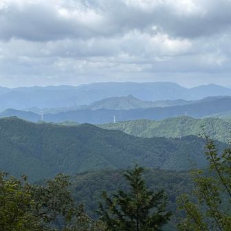 下山にかかって直ぐ樹間から西の方遠くに『段ヶ峰』は平に見える
