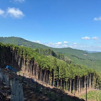 日の出山のようだ。