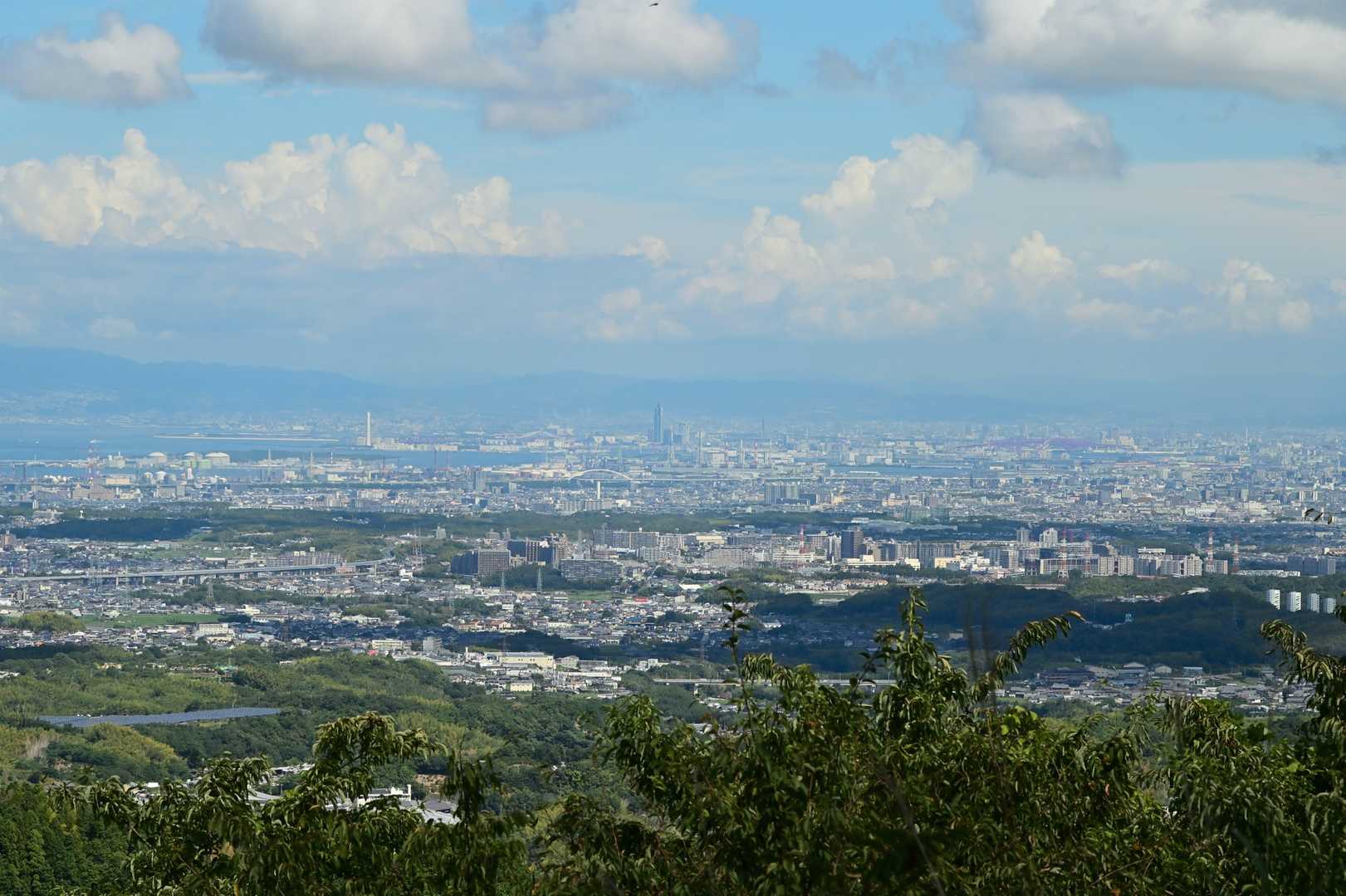 八ヶ丸山 往復コースの写真
