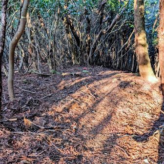 ハイ👍
だいぶ陽も長くなりましたね😋
狩音山過ぎてようやく北上の…
快適ゾーンまで戻りました〜🎶🎵
ココで16時半は今からの季節なら
問題なしだね（笑）

さ〜せん鬼ヶ城で（笑）
少し自撮りし過ぎましたね😋
