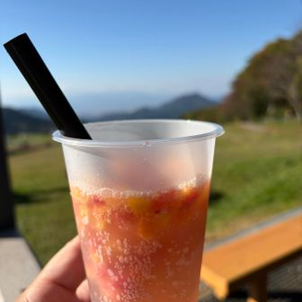 台湾ソーダ
ストロベリー&マンゴー
炭酸、ナタデココで最高でした