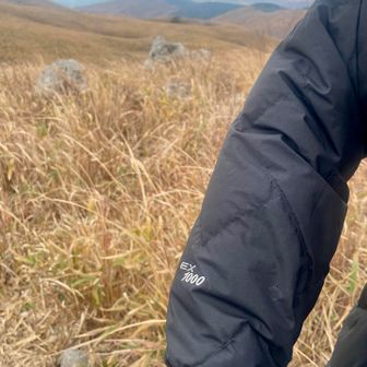 1000フィルパワー