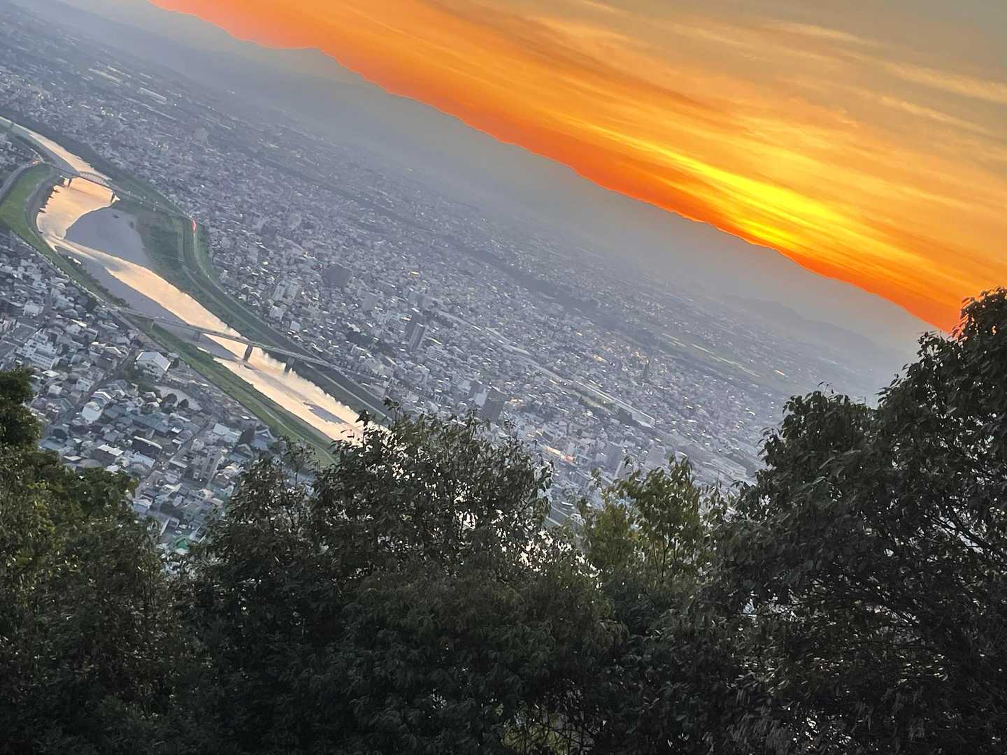 妙見峠-金華山-山頂駅 周回コースの写真