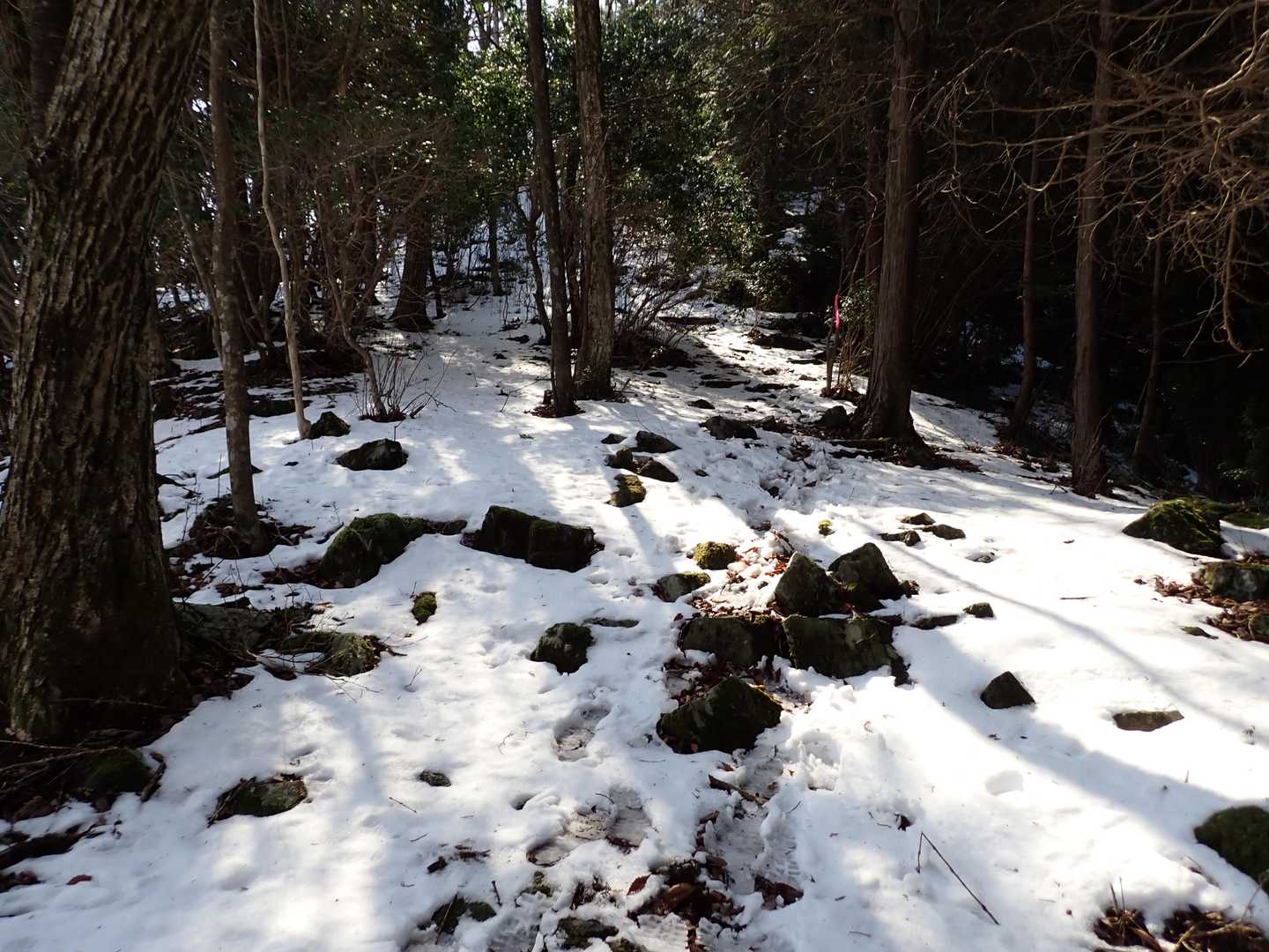 雪がまだ残っています❄️
