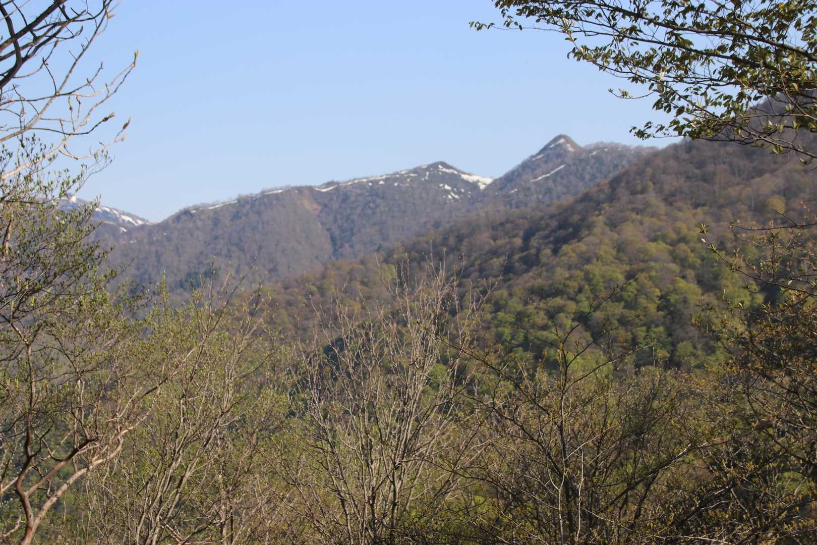稲包山が見えます。