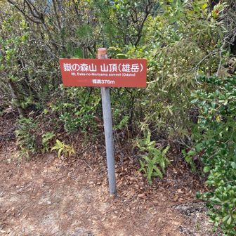 頂上は見晴らしよくない😫雌岳へ行きます