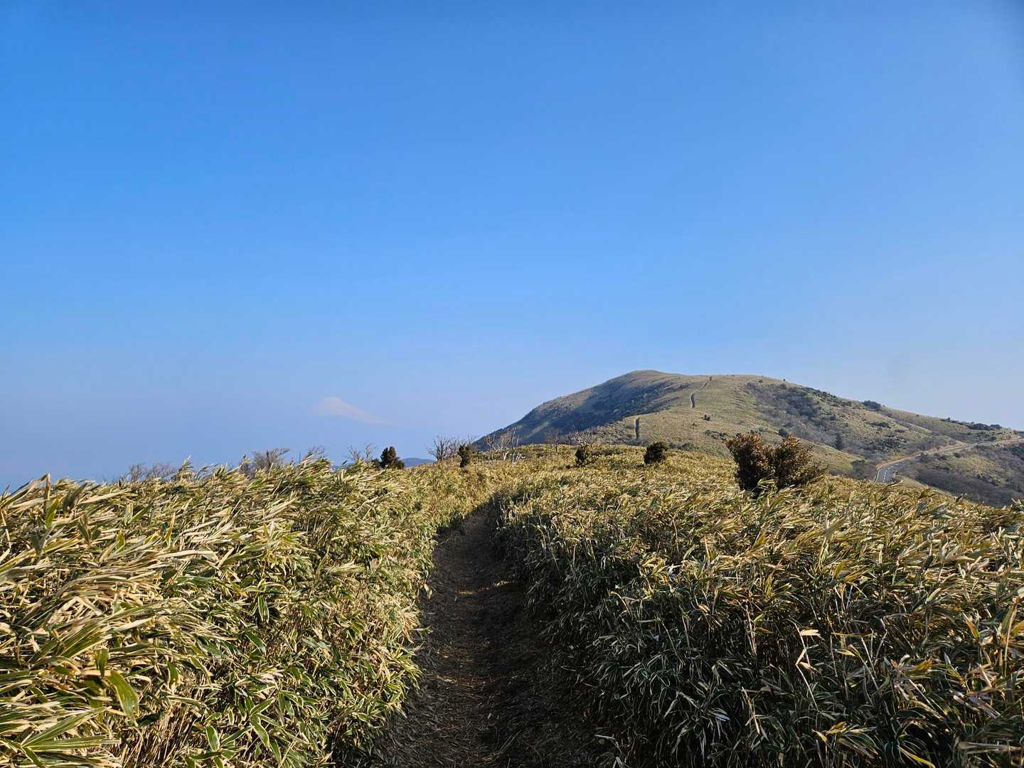戸田峠-小達磨山-達磨山-古稀山-伽藍山 往復コースの写真