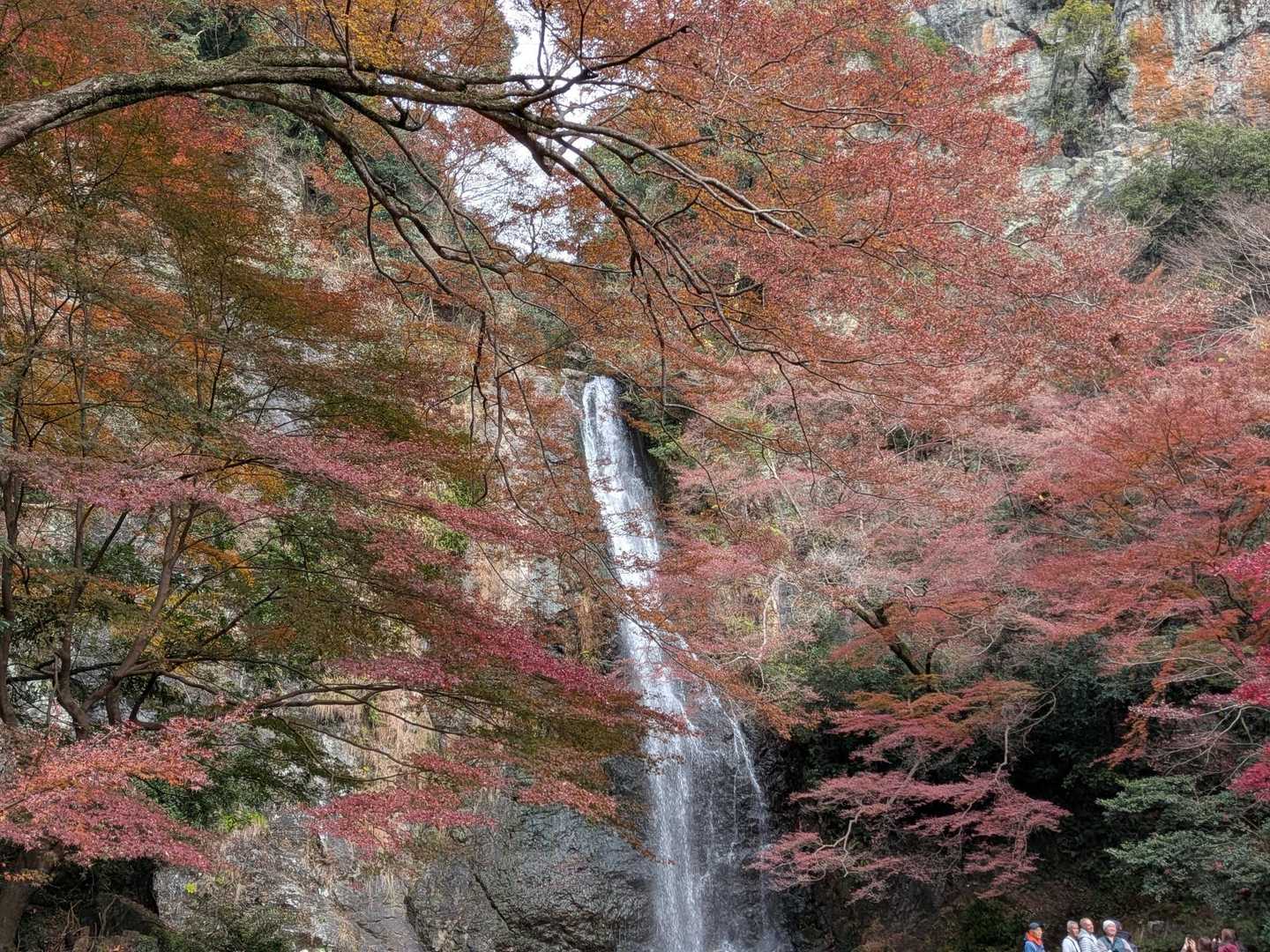 瀧安寺-石子詰登山口-箕面山-三国峠-六個山 周回コースの写真