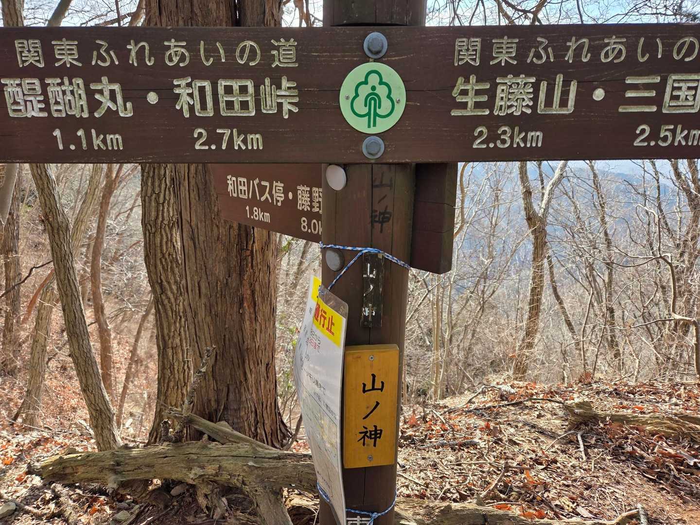 山の神という名前の峠。
登山コースの分岐ポイントにもなっています。
