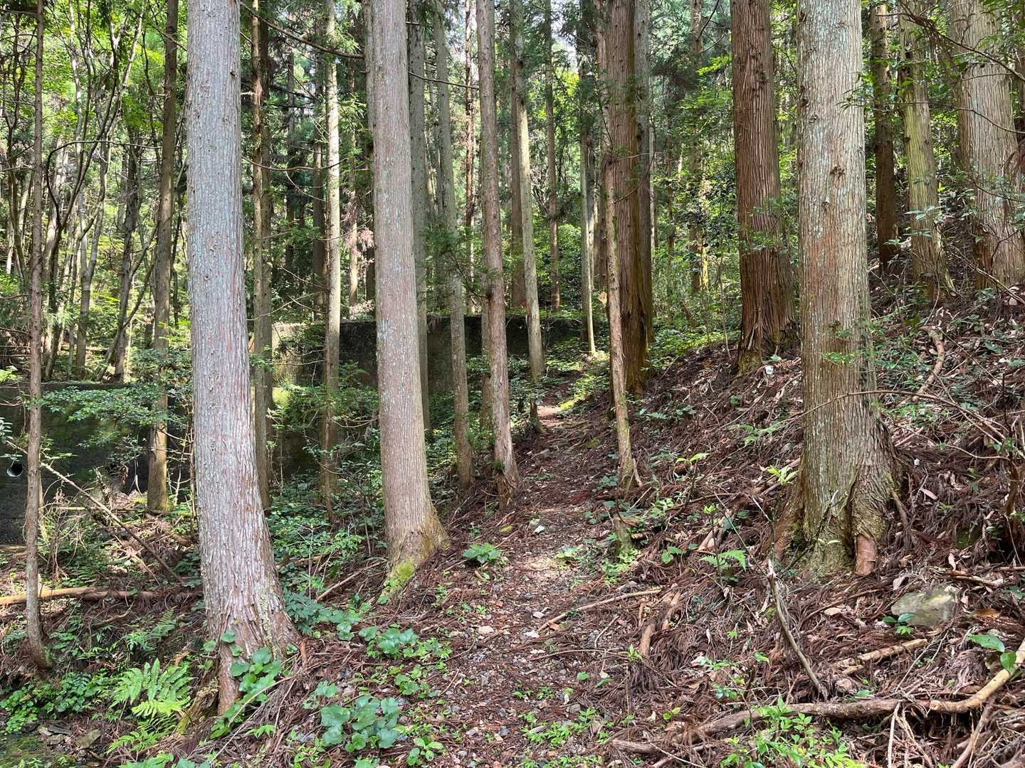 ひたすら登り