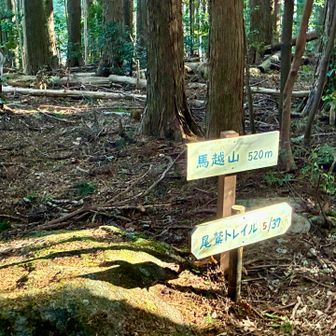 天狗倉山東峰山頂に到着❗️

ただ、天狗倉山東峰という山名札は無く、「馬越山」というこの看板がありました。

ともかく、本日、２座目ゲット❗️
