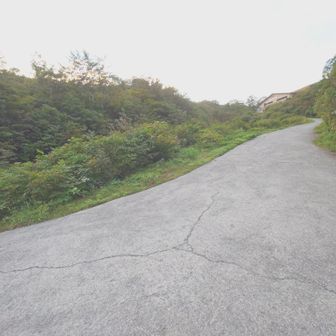 合流地点
