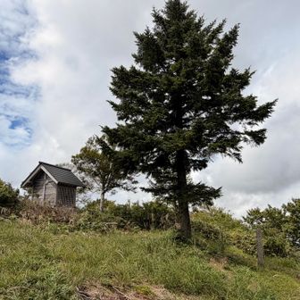 ついたー🙌
と思ったら山頂はもう少し先でした