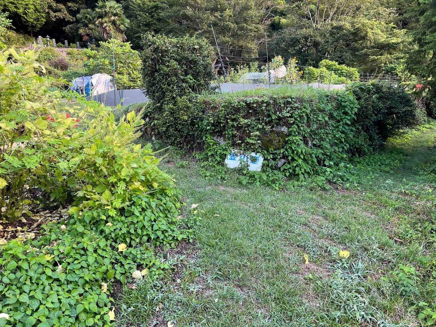 櫃ヶ山 周回コースの写真