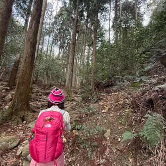 ここまで来て、りんあすかさんが『道間違ってない⁉︎』
で、YAMAPの地図を確認🗾🧐