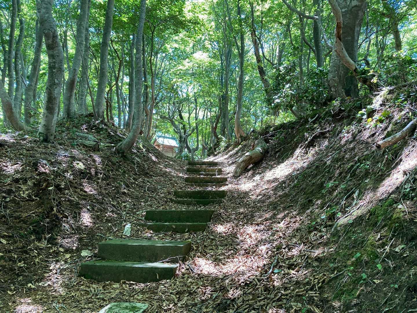奥の院の石段、お気に入りの場所