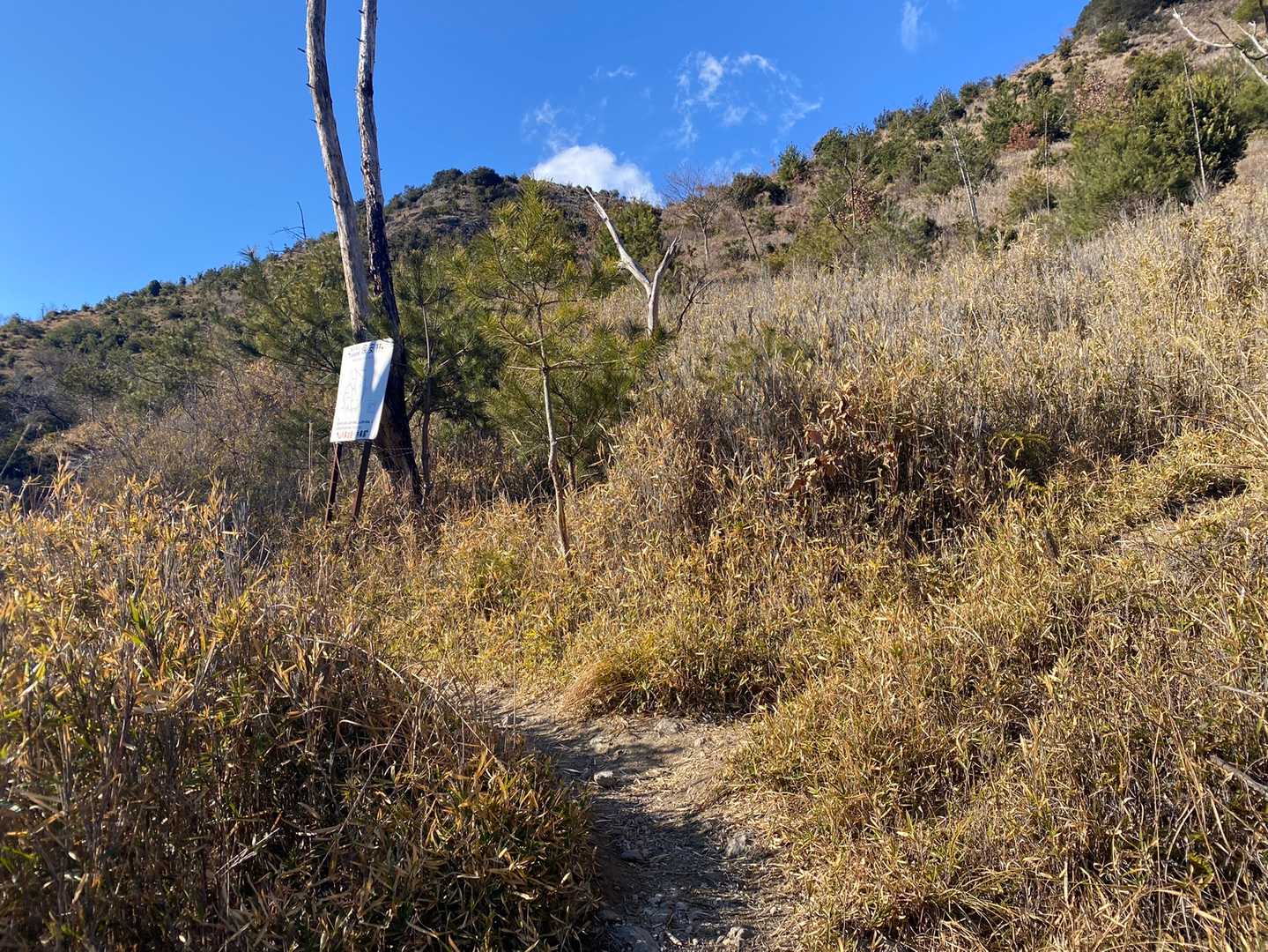 下山するよー