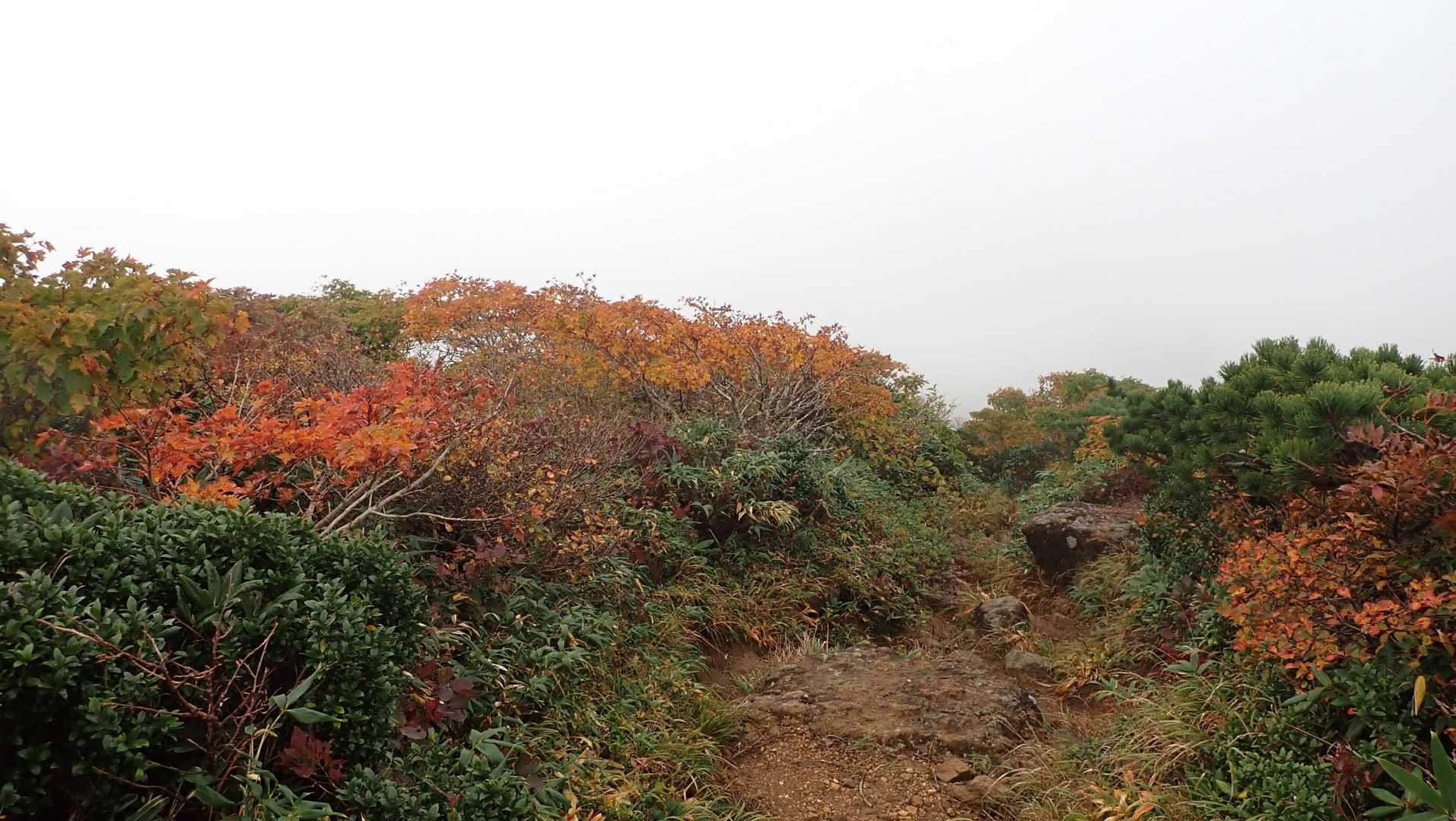 栗駒山-秣岳 周回コースの写真