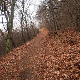 どんな景色が広がるのか楽しみ