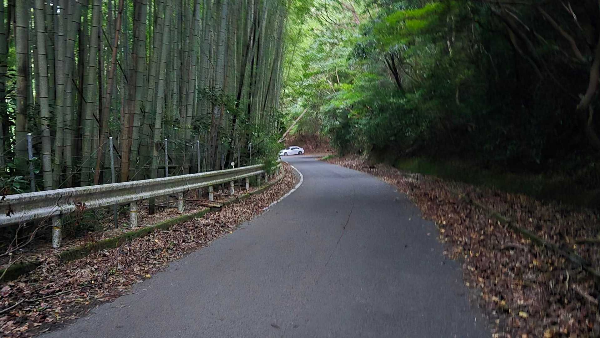 市の瀬峠-皿倉山 往復コースの写真