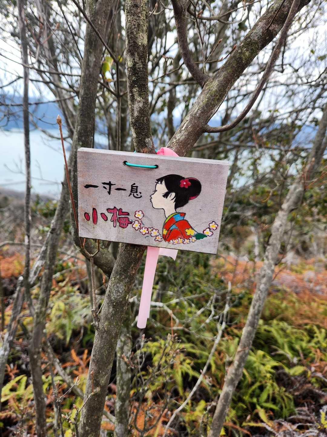 富田松山城跡登山口-富田松山-雨乞い跡地-前山 周回コースの写真
