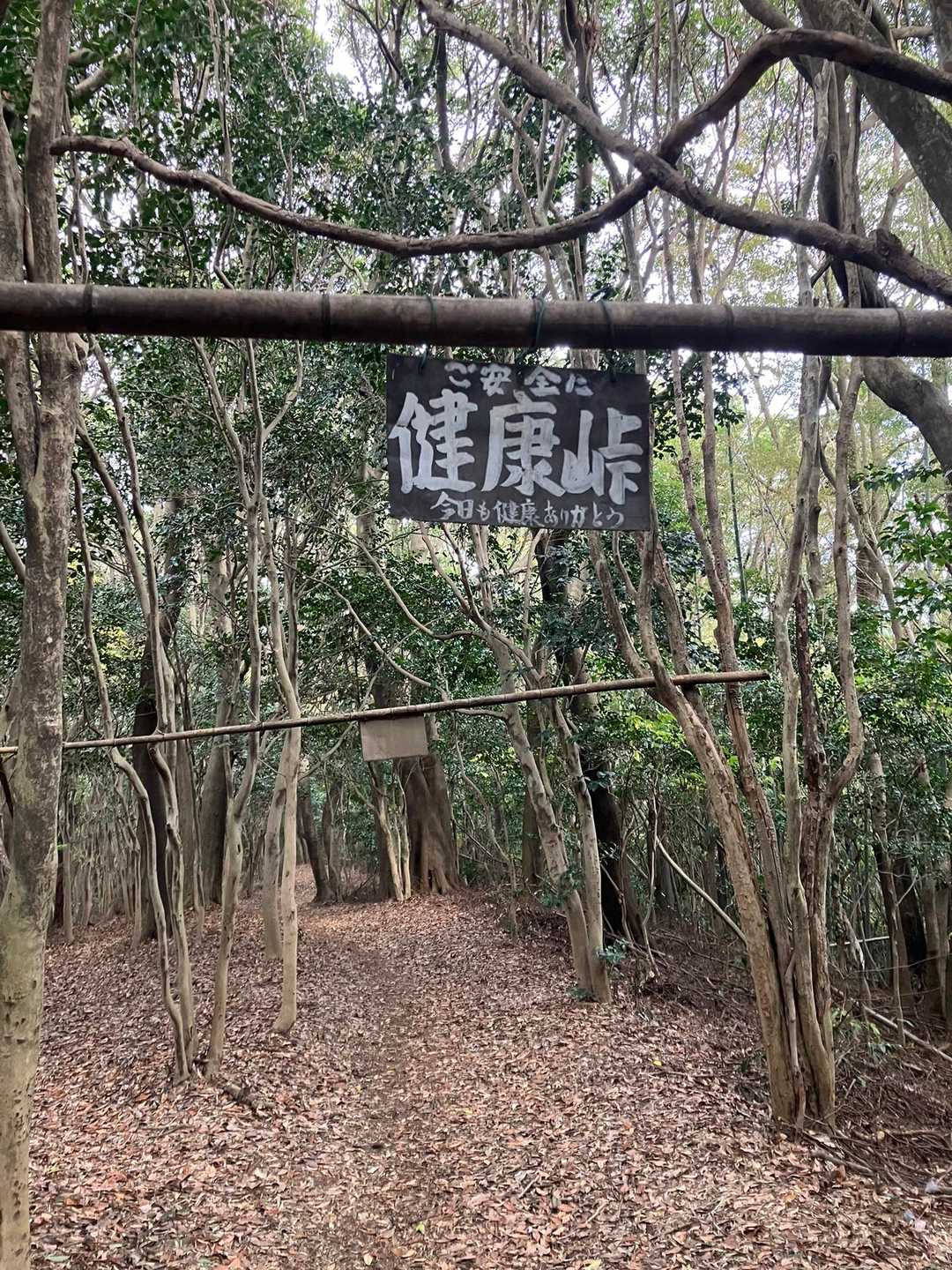 藤ノ木越-石峰山 往復コースの写真