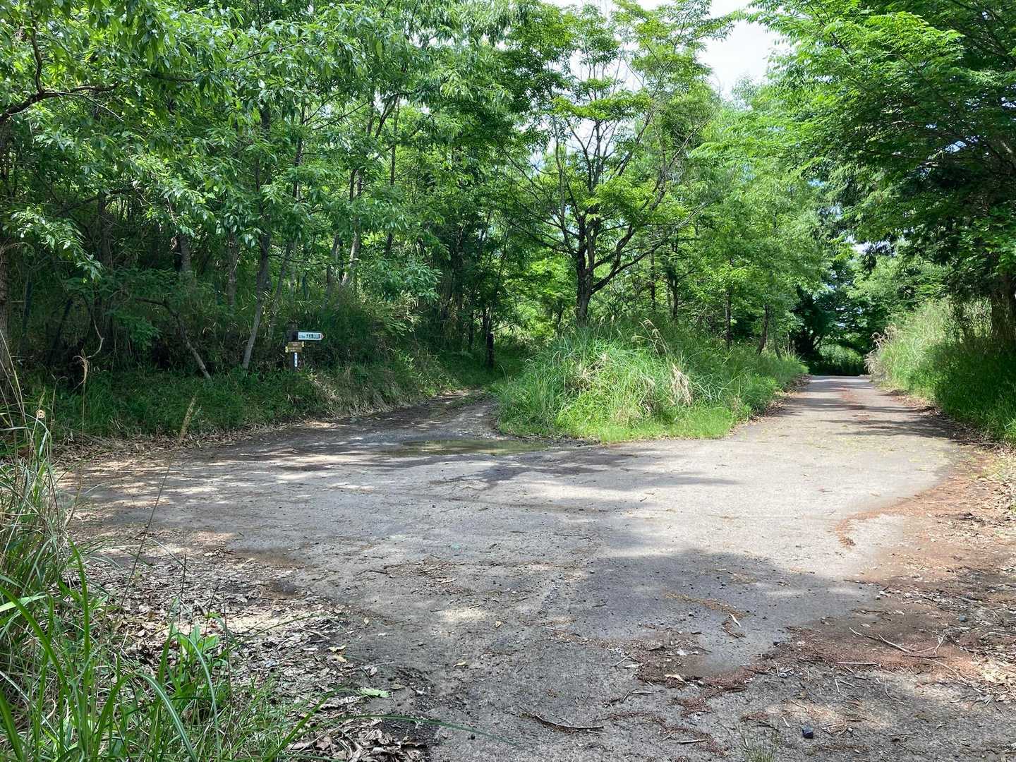 あれ？舗装道路だ
ここまで🚙来れるのかな