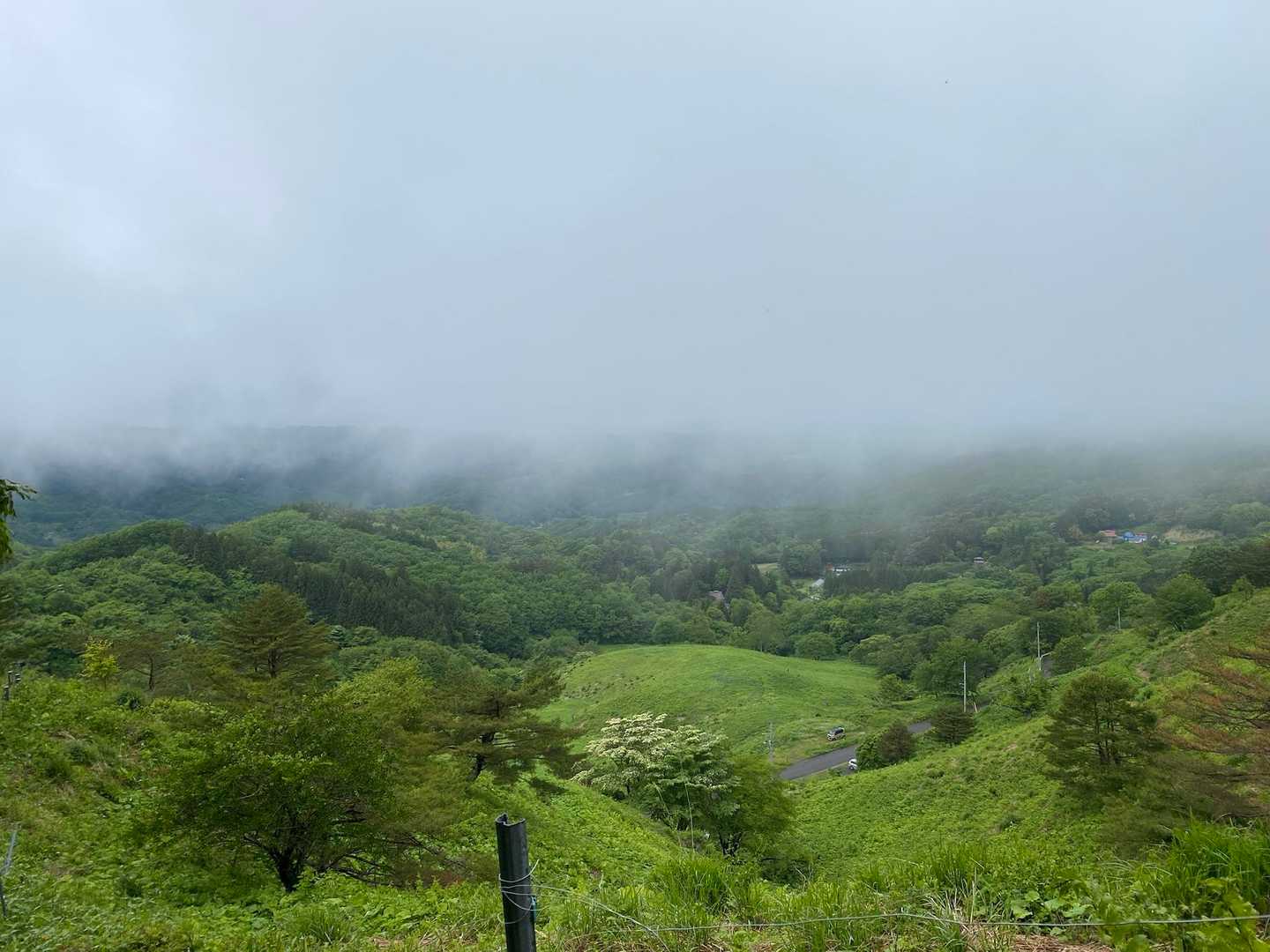 日山 周回コースの写真