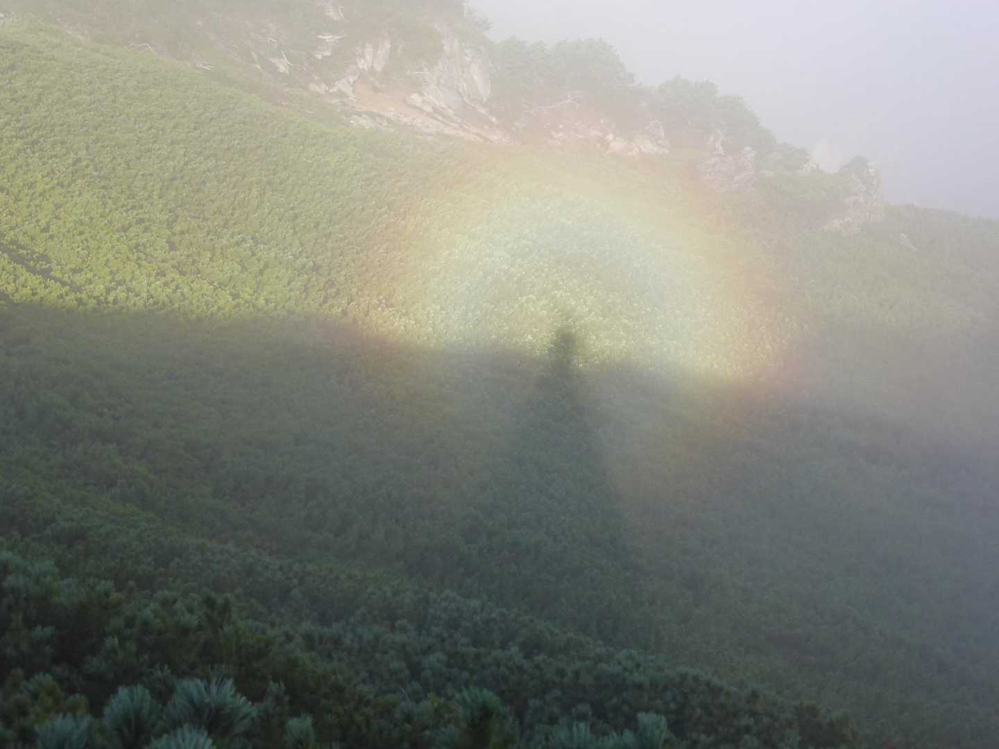 大下りノ頭-大天井岳-常念乗越 縦走コースの写真