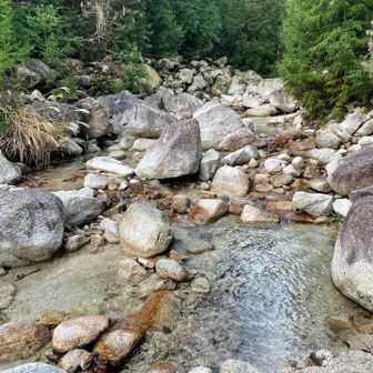 すぐ渡渉あり　油断してていきなり
ドボン💦　してしまった😭