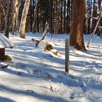 八合目。ここから尾根に出る。積雪増えて、だいたい10cmくらいかな
