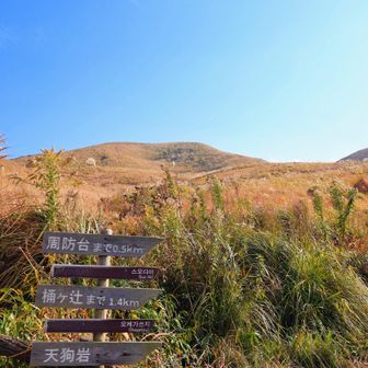 中峠へ降りて来て天狗岩へ行くべきか悩む⁉️今日は止めとこ😅脚がうずく😭