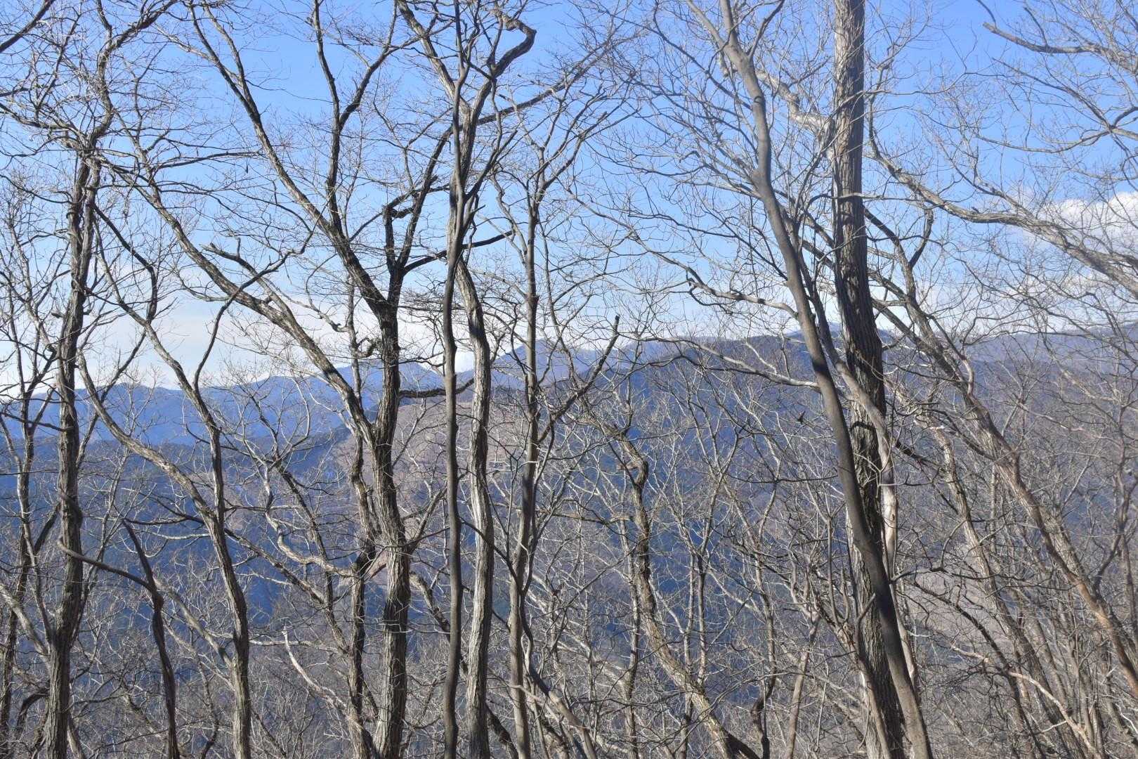 眺望は、終止こんな感じ😅