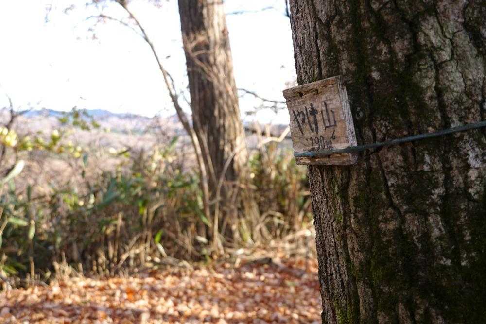 やけ山の写真