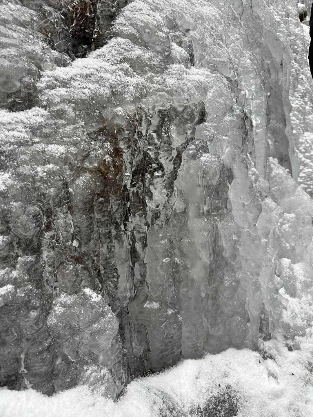 太陽と緑の道・石切道紅葉谷コースの写真