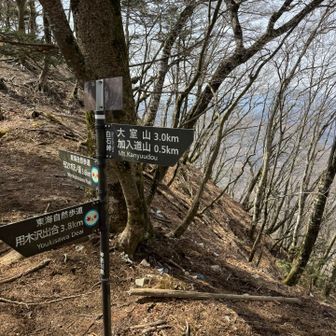 ここから長い長い下り😵‍💫